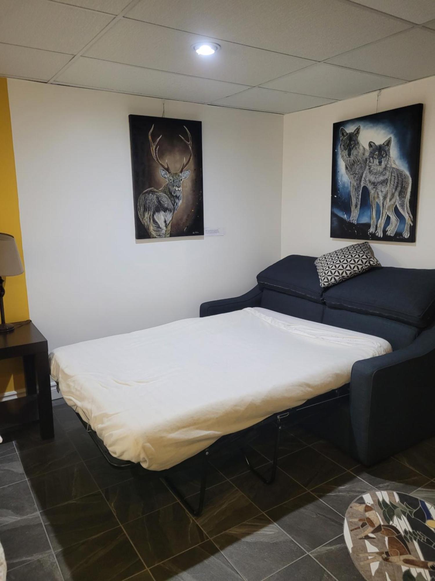 Studio Bellevue Saint-Félicien Eksteriør bilde